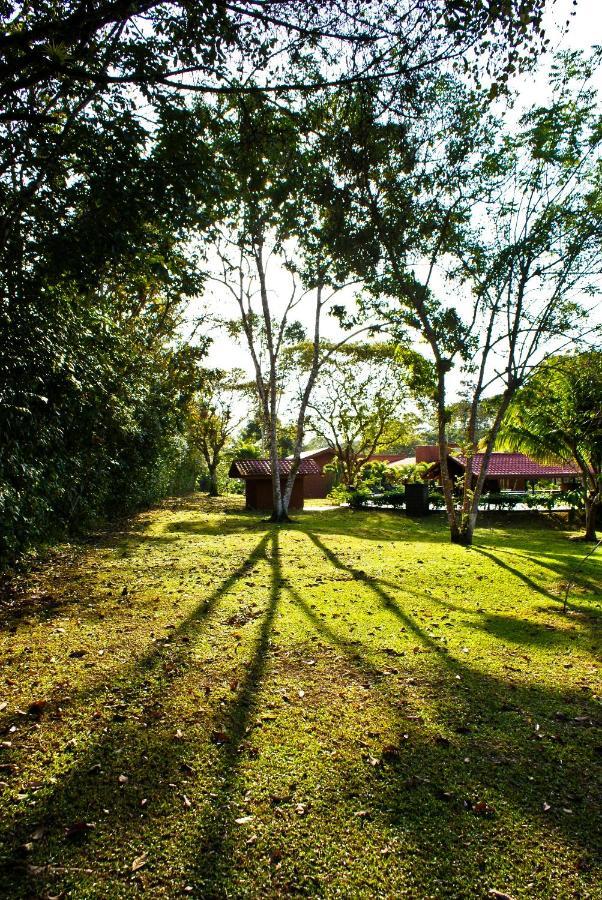 Natural Lodge Cano Negro Exterior foto